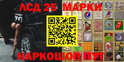 индика Краснознаменск
