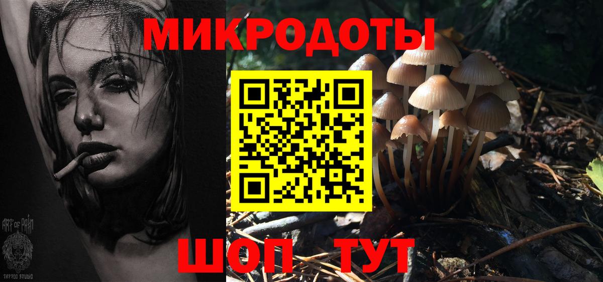 Галлюциногенные грибы MAGIC MUSHROOMS  Вход с VPN  Аксай 